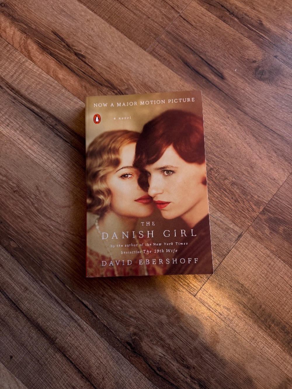 The Danish Girl by David Ebershoff